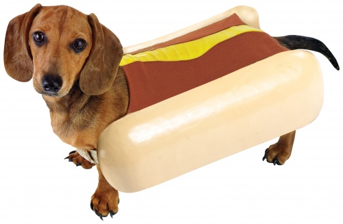 Hoje é dia nacional do cachorro-quente - Food Magazine